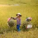 voyage martinique enfants