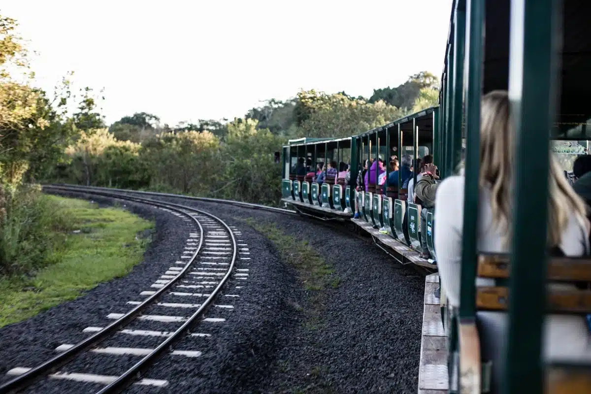 transport écologique