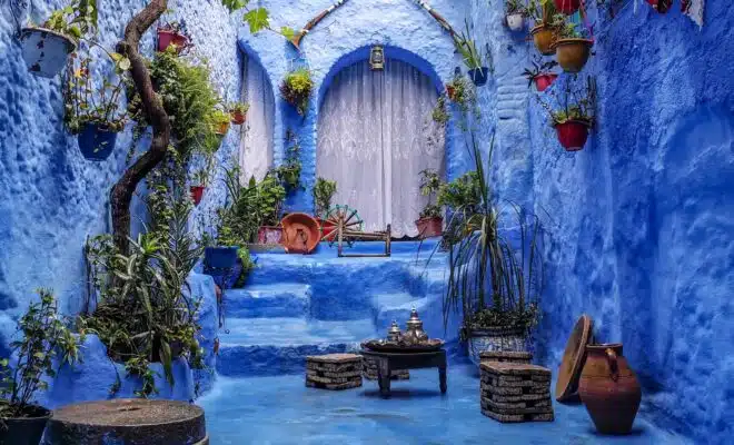 a blue alley with potted plants and a bench