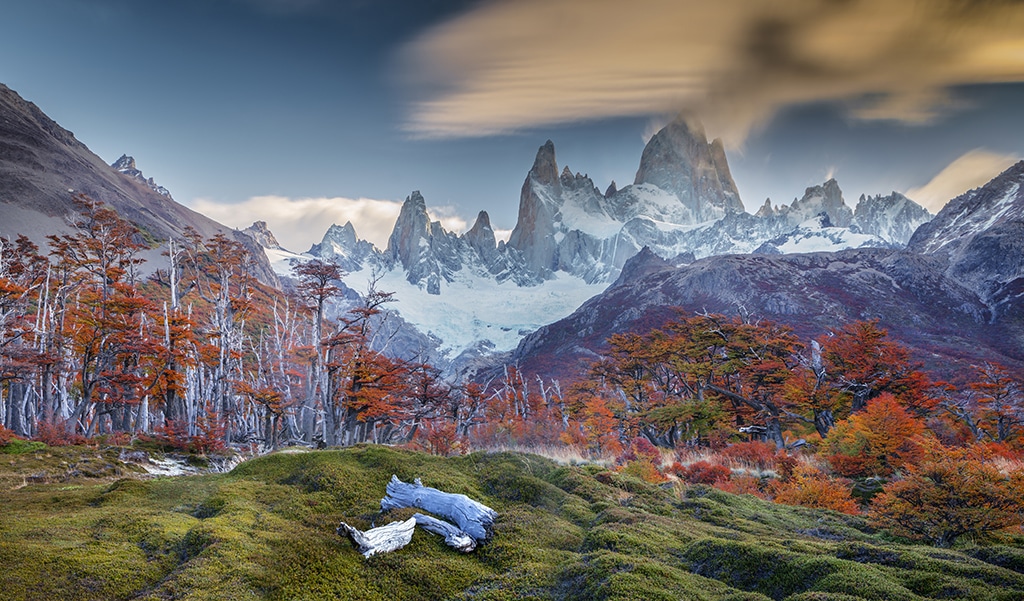 Quand partir en Patagonie argentine ?