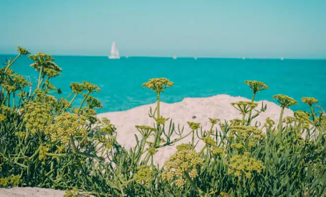 Découvrez le bonheur des vacances en famille sur l'île de Ré !