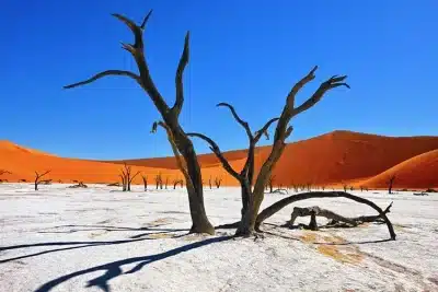 Namibie