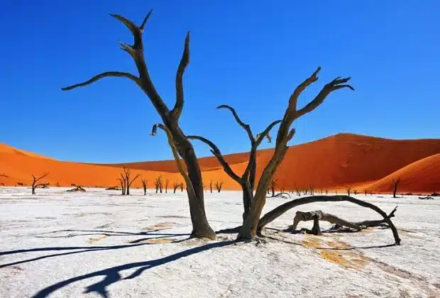 Namibie