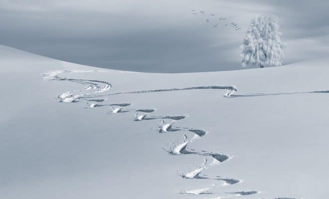 Préparer son séjour au ski : comment s'y prendre ?