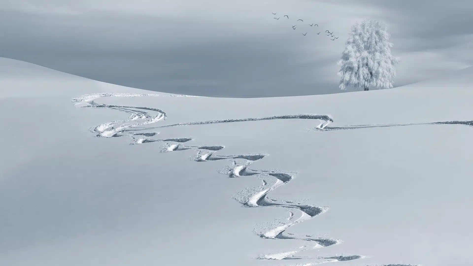 Préparer son séjour au ski : comment s'y prendre ?