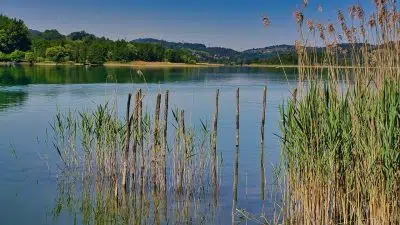 Séjours sur le thème de la pêche pour une expérience inoubliable !