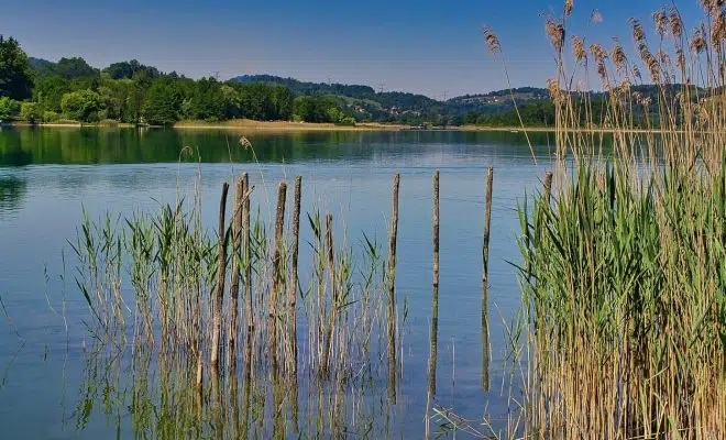 Séjours sur le thème de la pêche pour une expérience inoubliable !