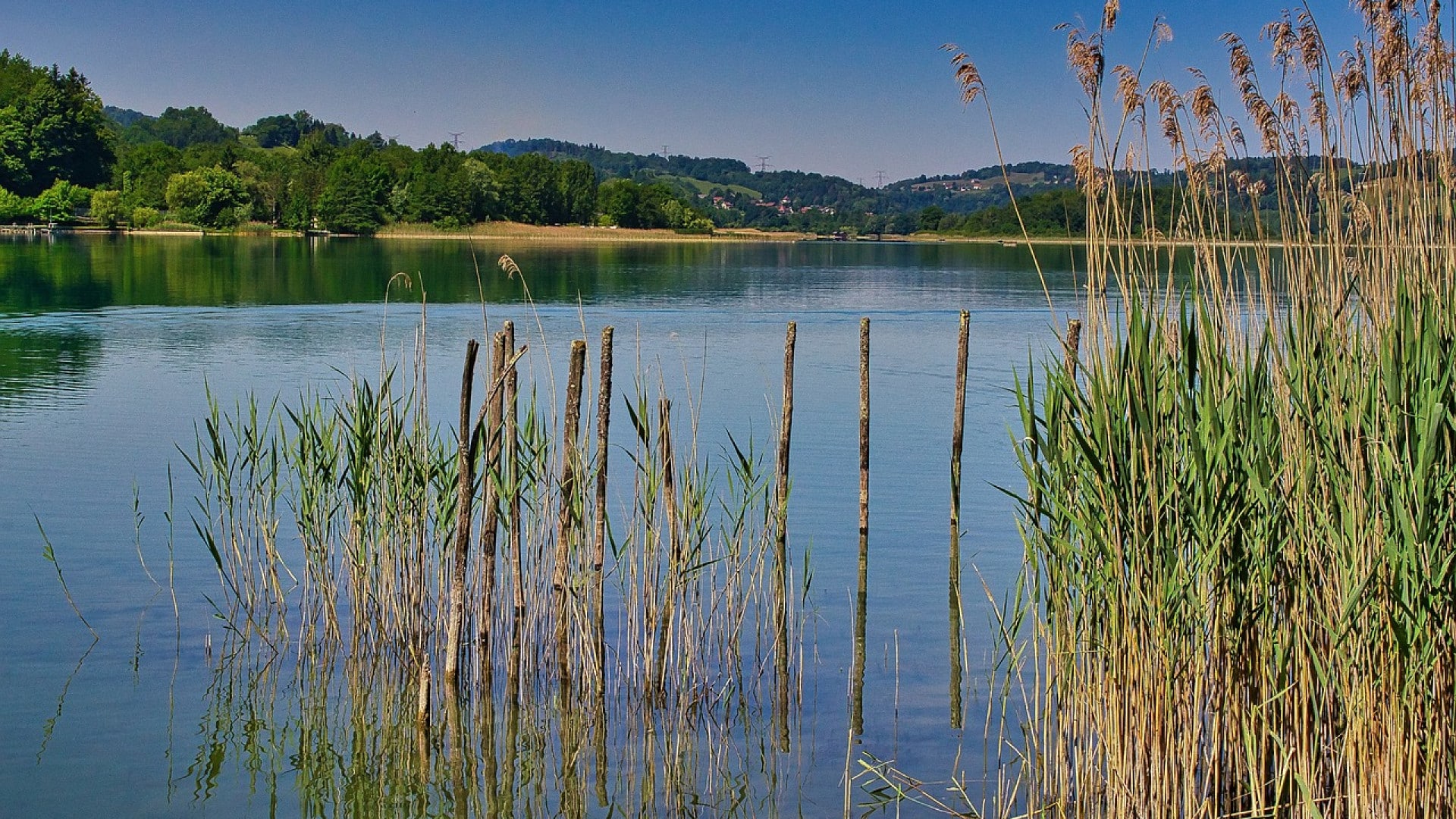 Séjours sur le thème de la pêche pour une expérience inoubliable !