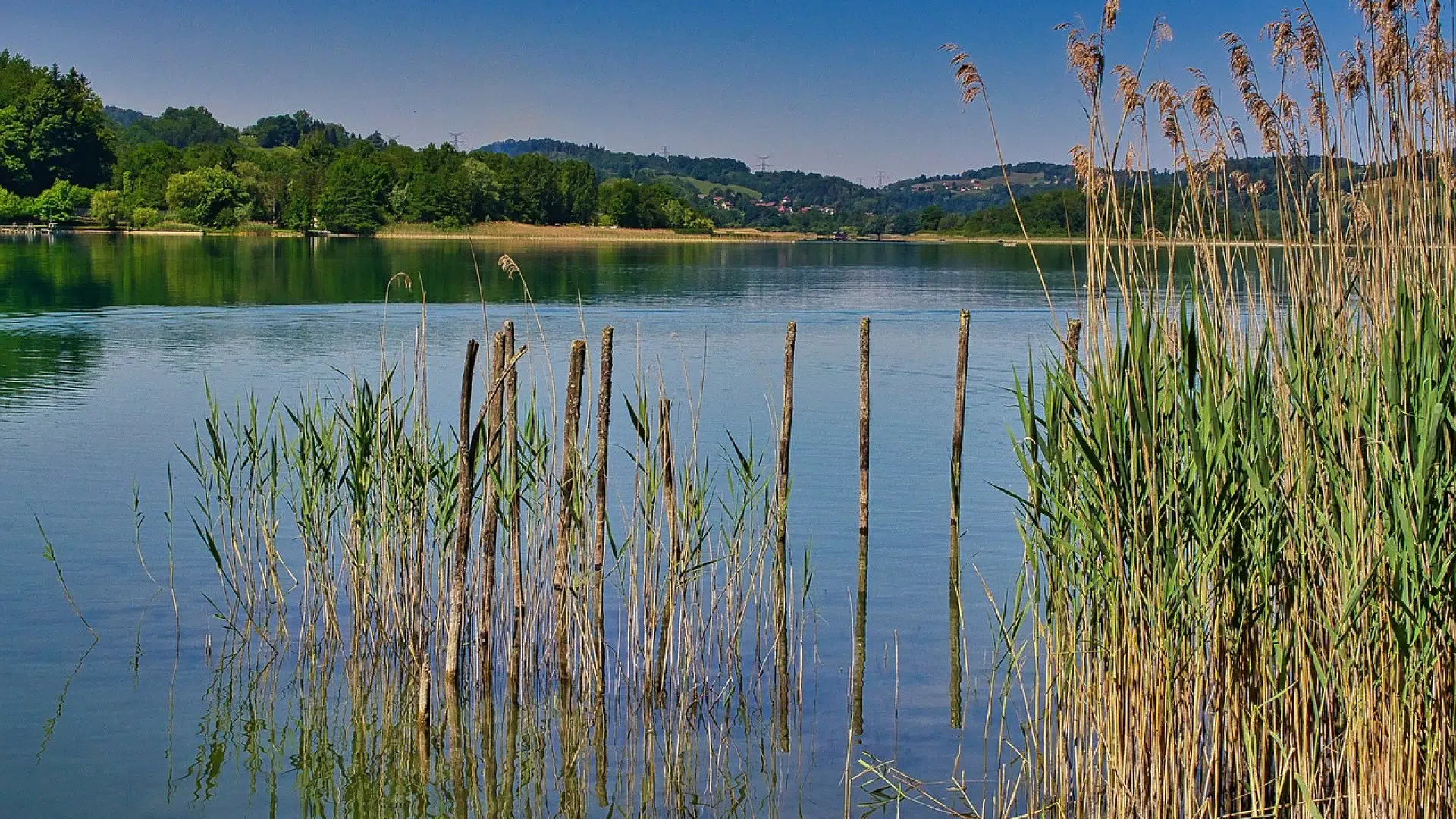 Séjours sur le thème de la pêche pour une expérience inoubliable !