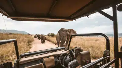 Voyage sur mesure en Afrique du Sud : un séjour inoubliable pour toute la famille !