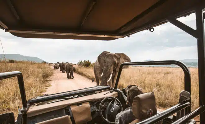 Voyage sur mesure en Afrique du Sud : un séjour inoubliable pour toute la famille !